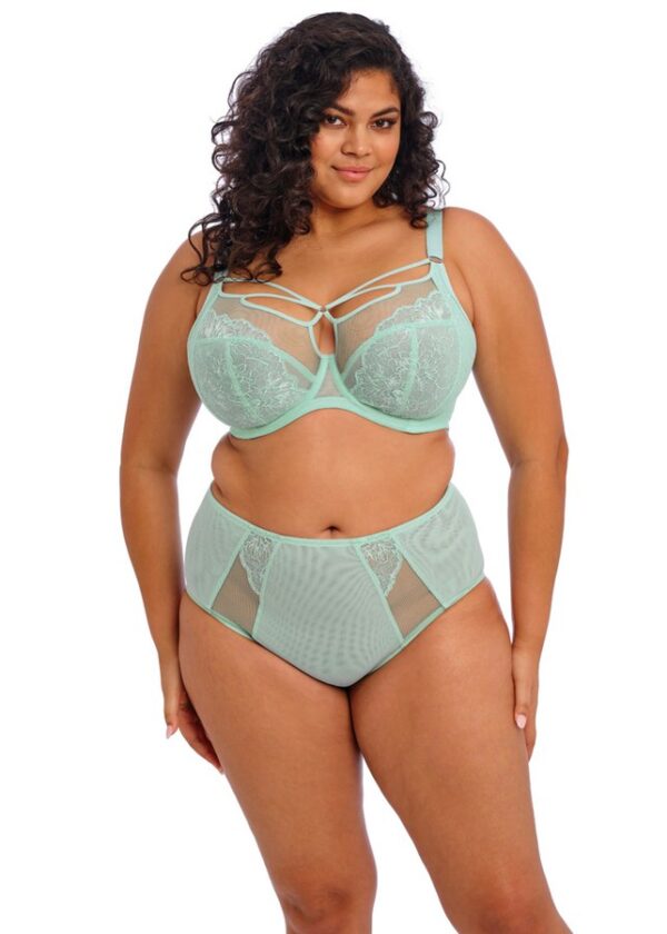 Brianna Frozen Biustonosz typu plunge firmy Elomi - obrazek 2